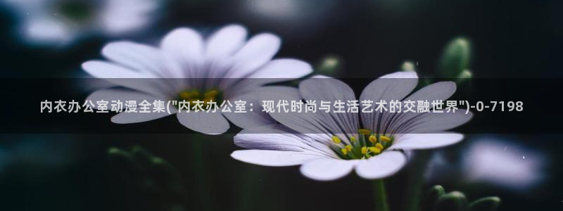 一念永恒动漫