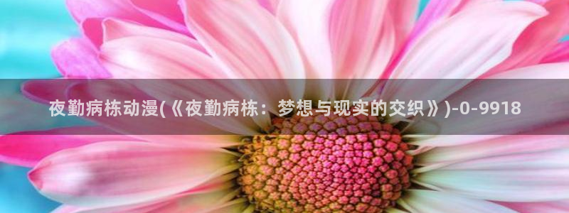 动漫资源：夜勤病栋动漫(《夜勤病栋：梦想与现实的交织》)
