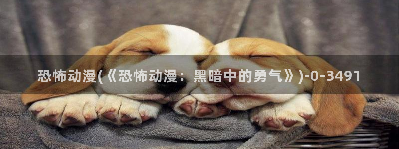 在线看动漫